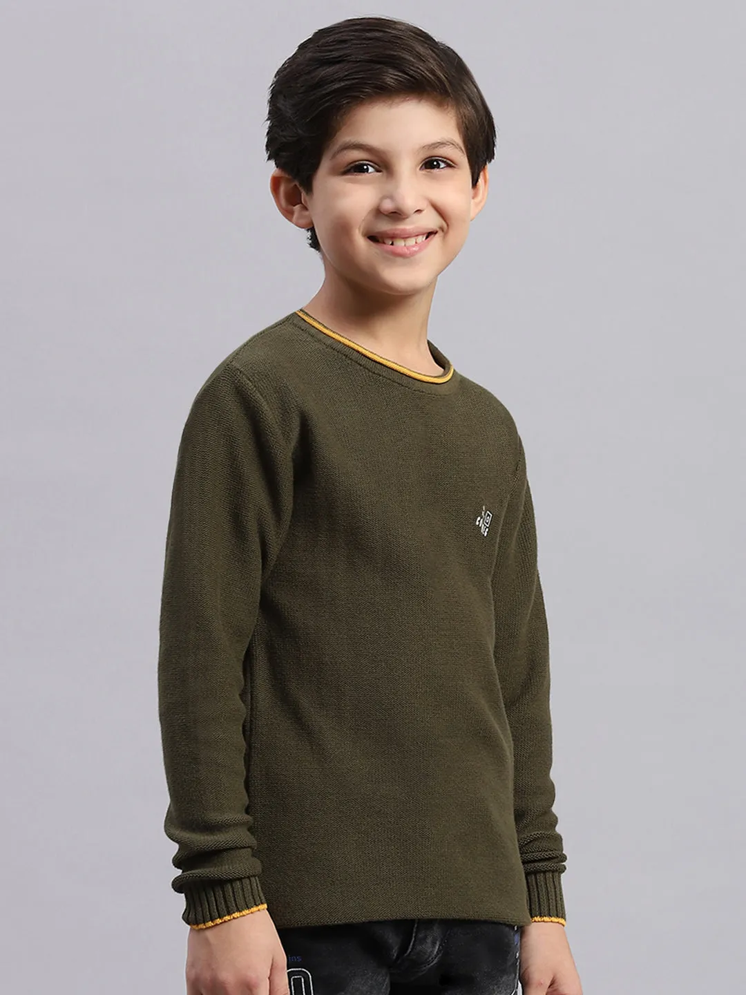 Boys Olive Solid Round Neck Full Sleeve Sweater