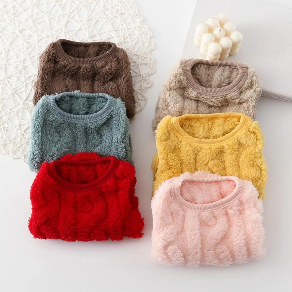 Cute Wavy Double-sided Fleece Pullover Pet Clothes