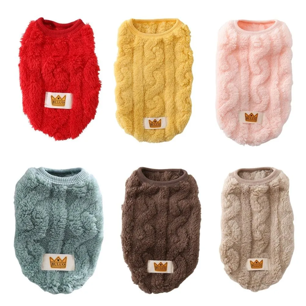 Cute Wavy Double-sided Fleece Pullover Pet Clothes